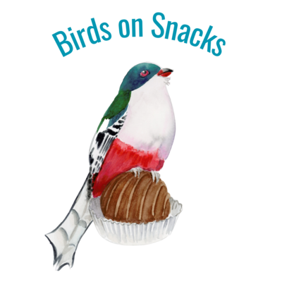 Birds on Snacks - 2023 Collection