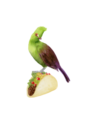 Turaco on a Taco.
Bird Lover Watercolor Painting, Watercolor Booby Bird, Watercolor Bird Decor, Watercolor Burger Nature Decor