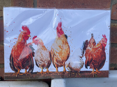 Chicken Canvas Print A4
