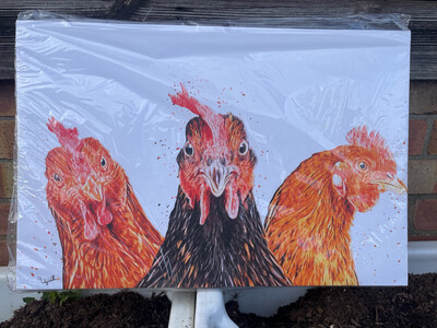 Chicken Canvas Print - Close up A2