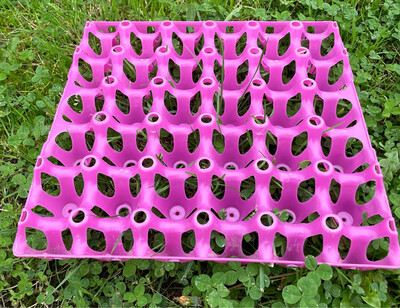 Plastic egg tray - holds 30 eggs