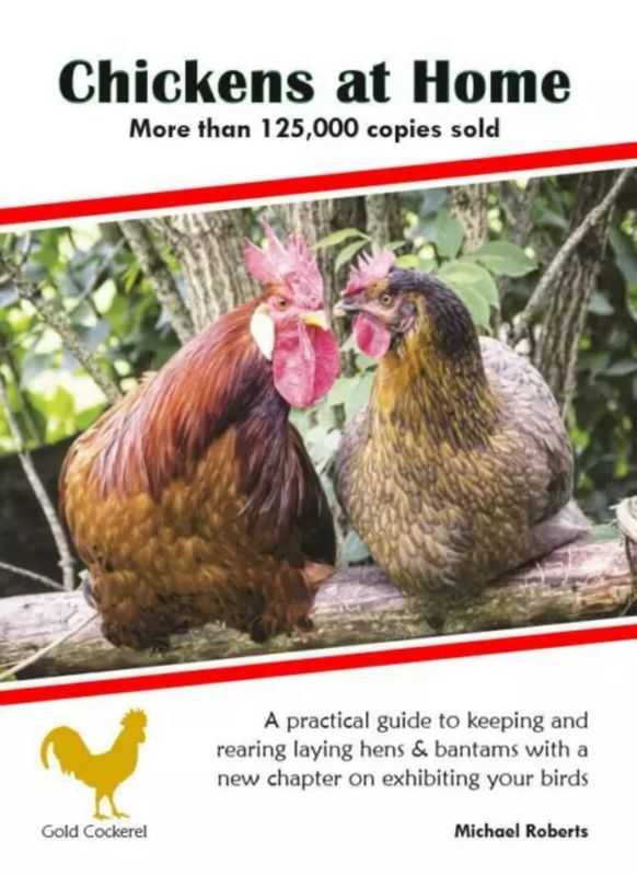 Chickens At Home Book