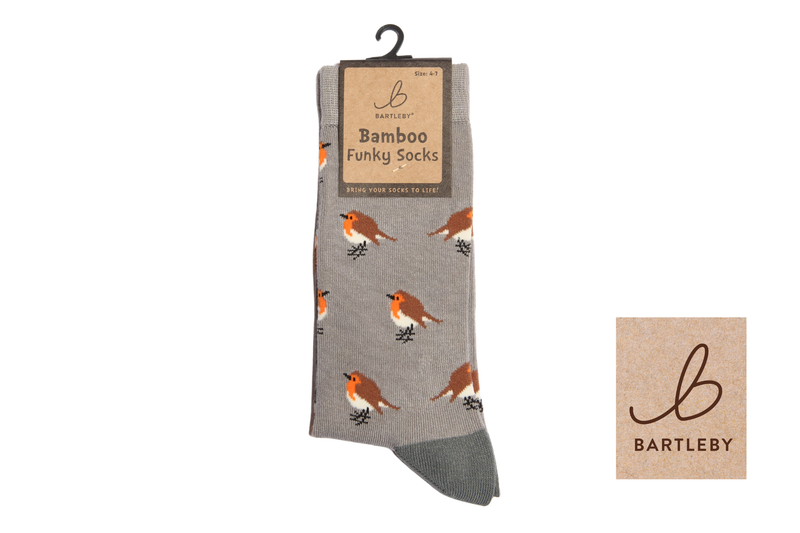 FUNKY BAMBOO SOCKS - GARDEN ROBIN, SIZE 4-7