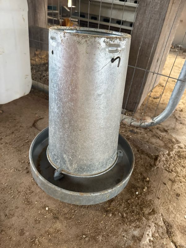 10kg galvanised feeder - COLLECTION ONLY