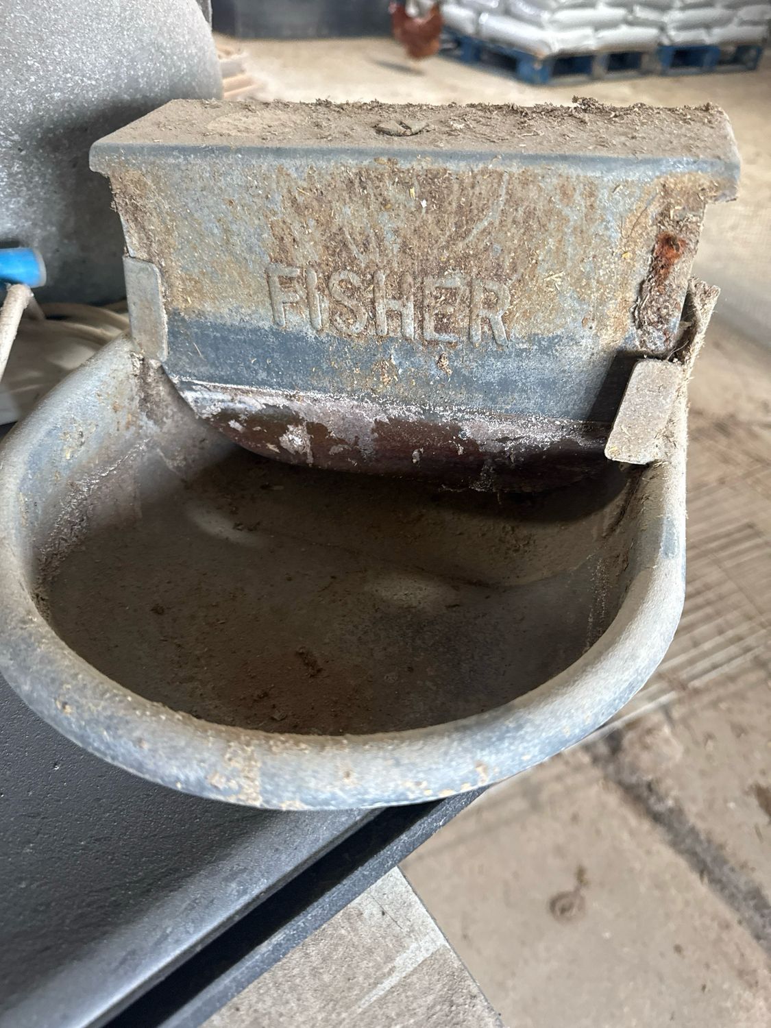 Fisher Automatic drinkers, steel