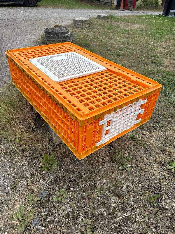 Poultry Crate COLLECTION ONLY