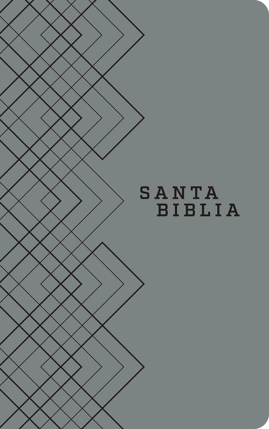 Biblia NTV, Edición ágape (SentiPiel, Gris)