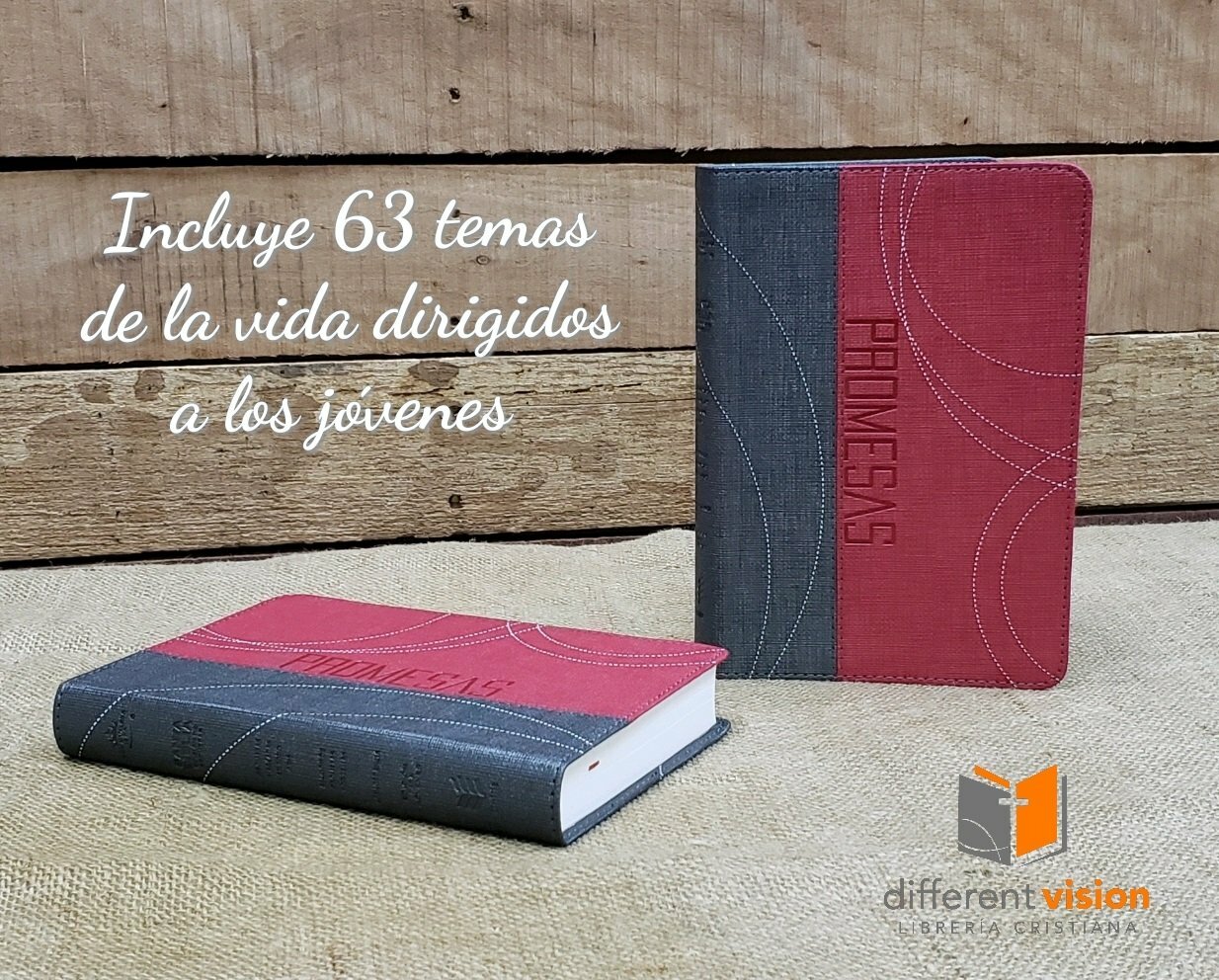 Biblia de Promesas para jóvenes dos tono (Piel)