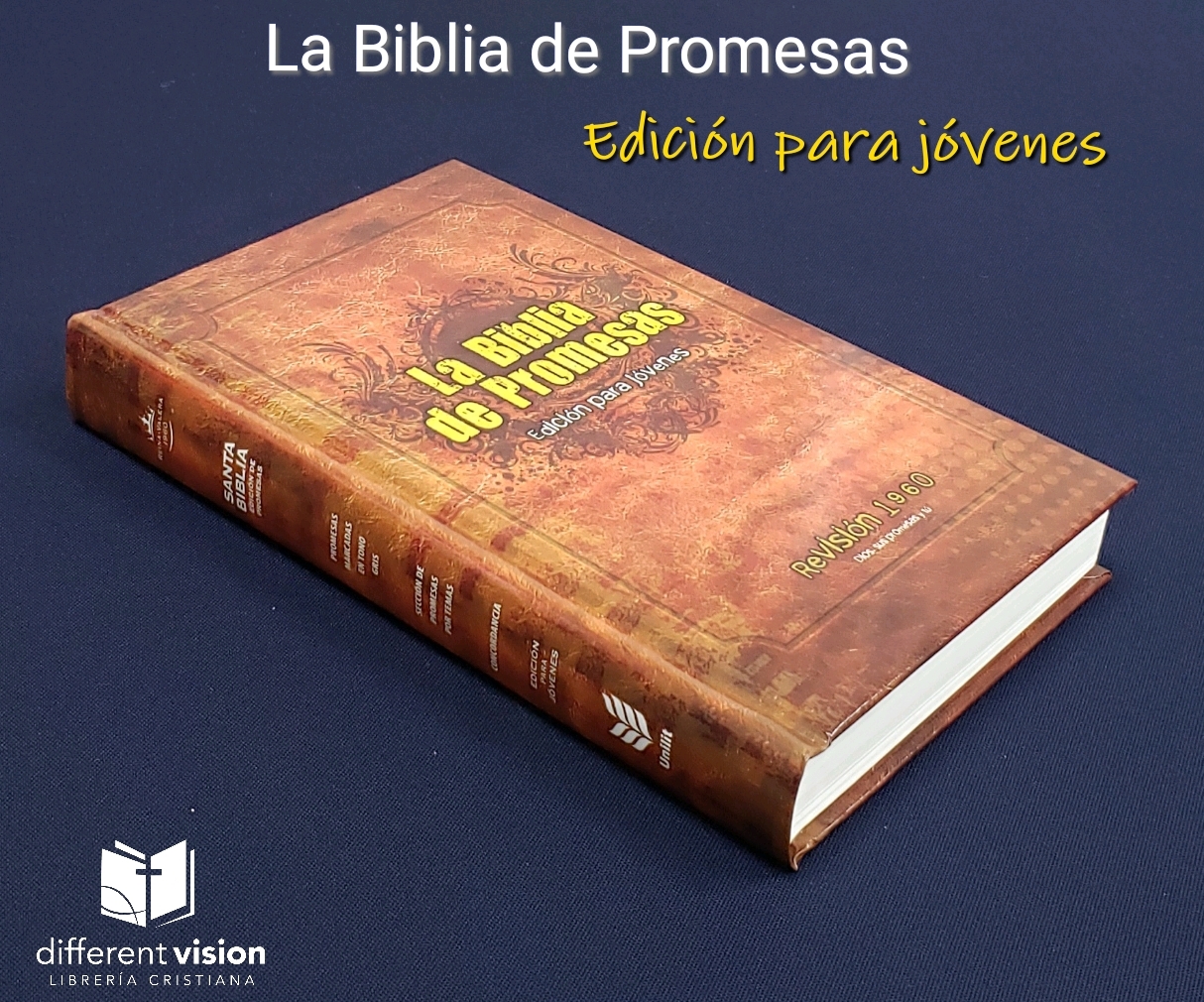 Biblia de Promesas/Juvenil/hombre/ Tapa Dura