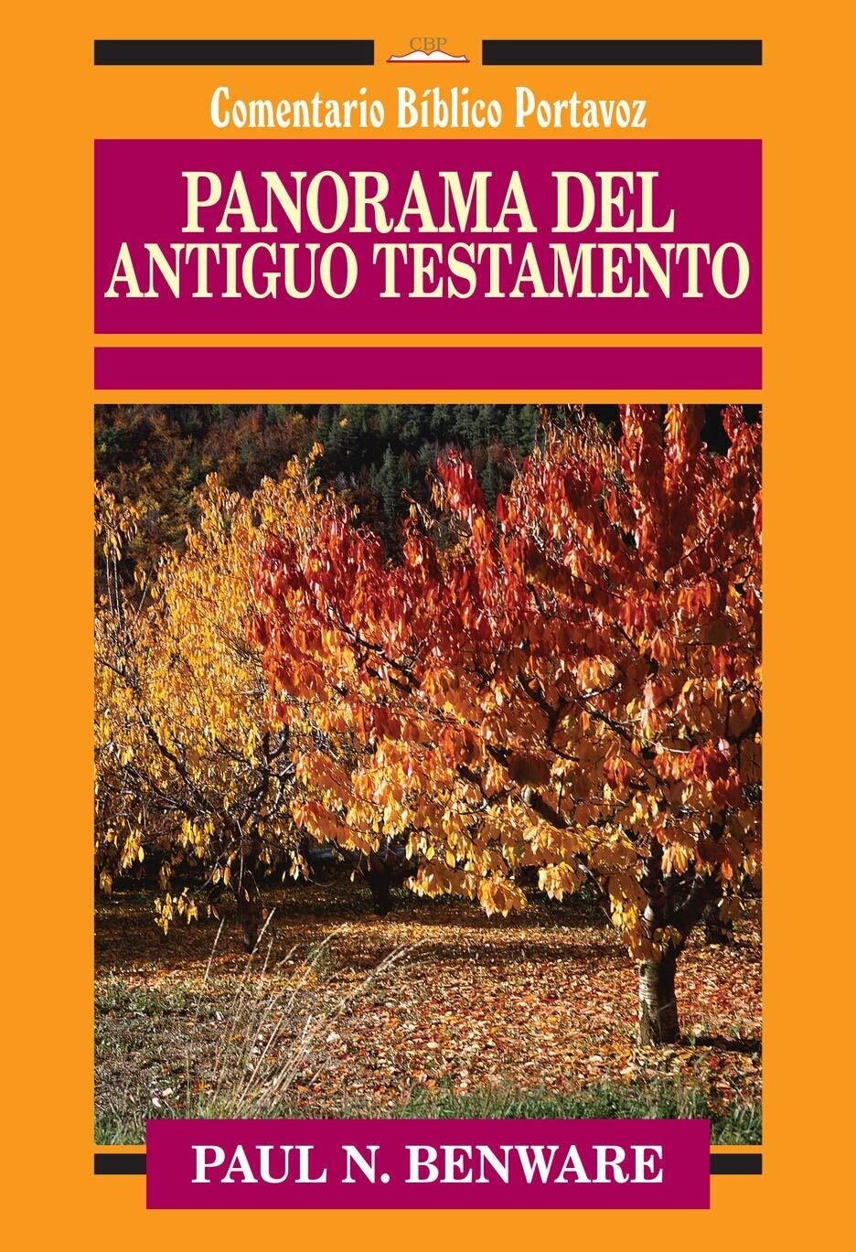 Panorama del Antiguo Testamento