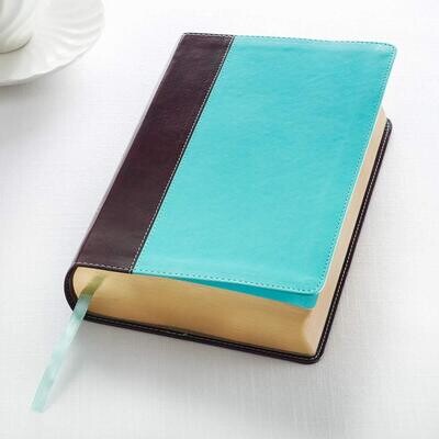 KJV Holy Bible, Giant Print Standard Brown/Teal   (Free Shipping)