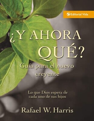 Tratado: ¿Y ahora qué?