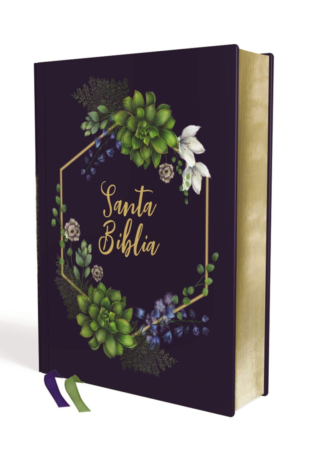 La Biblia Edición Artística NVI, Tapa Dura/Tela (Free Shipping)