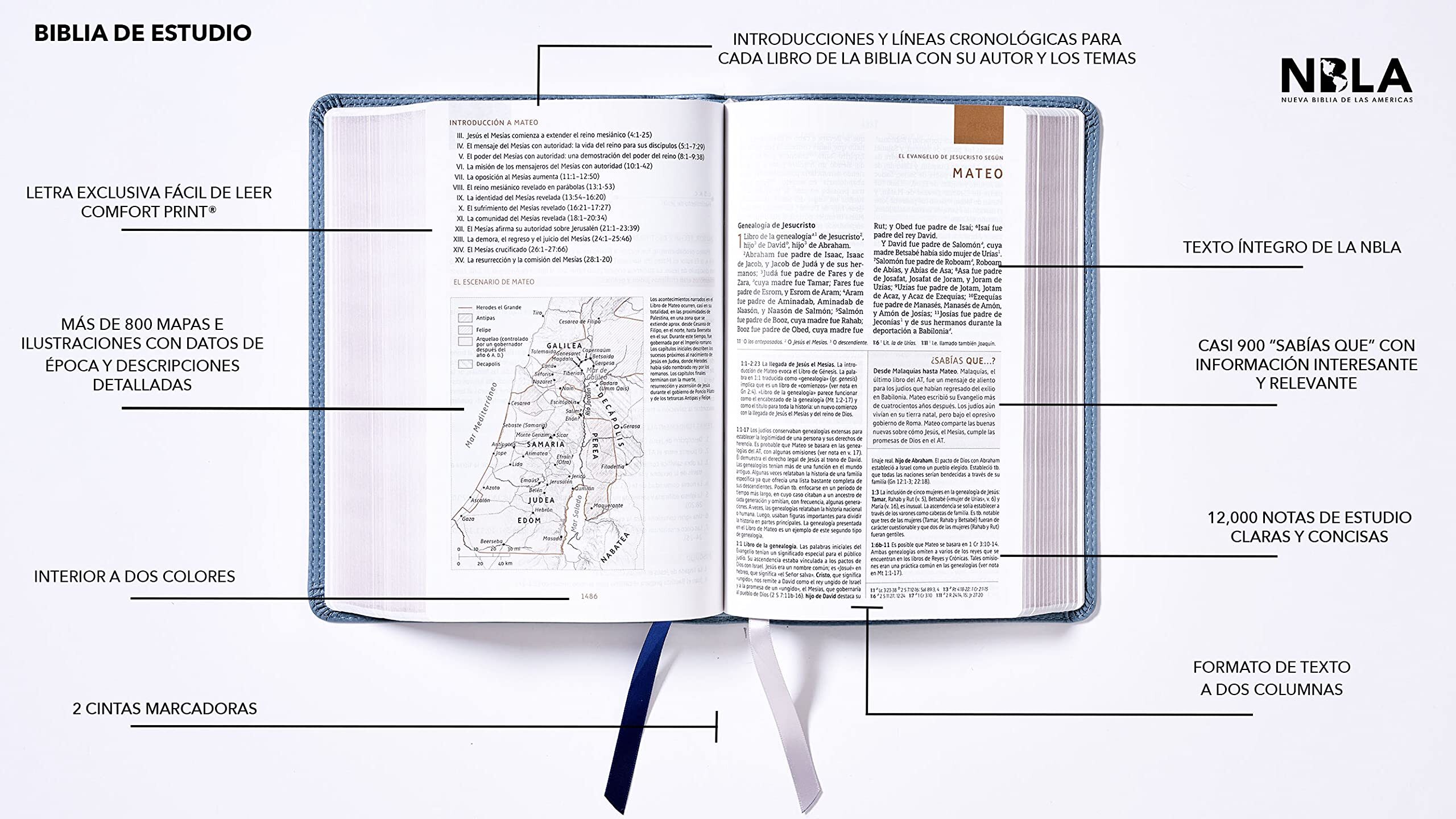 Biblia de Estudio NBLA, Leathersoft, Gris, Interior a Dos Colores (Free Shipping)