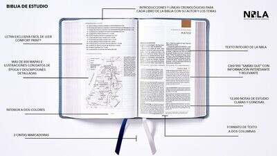 Biblia de Estudio NBLA, Leathersoft, Gris, Interior a Dos Colores (Free Shipping)