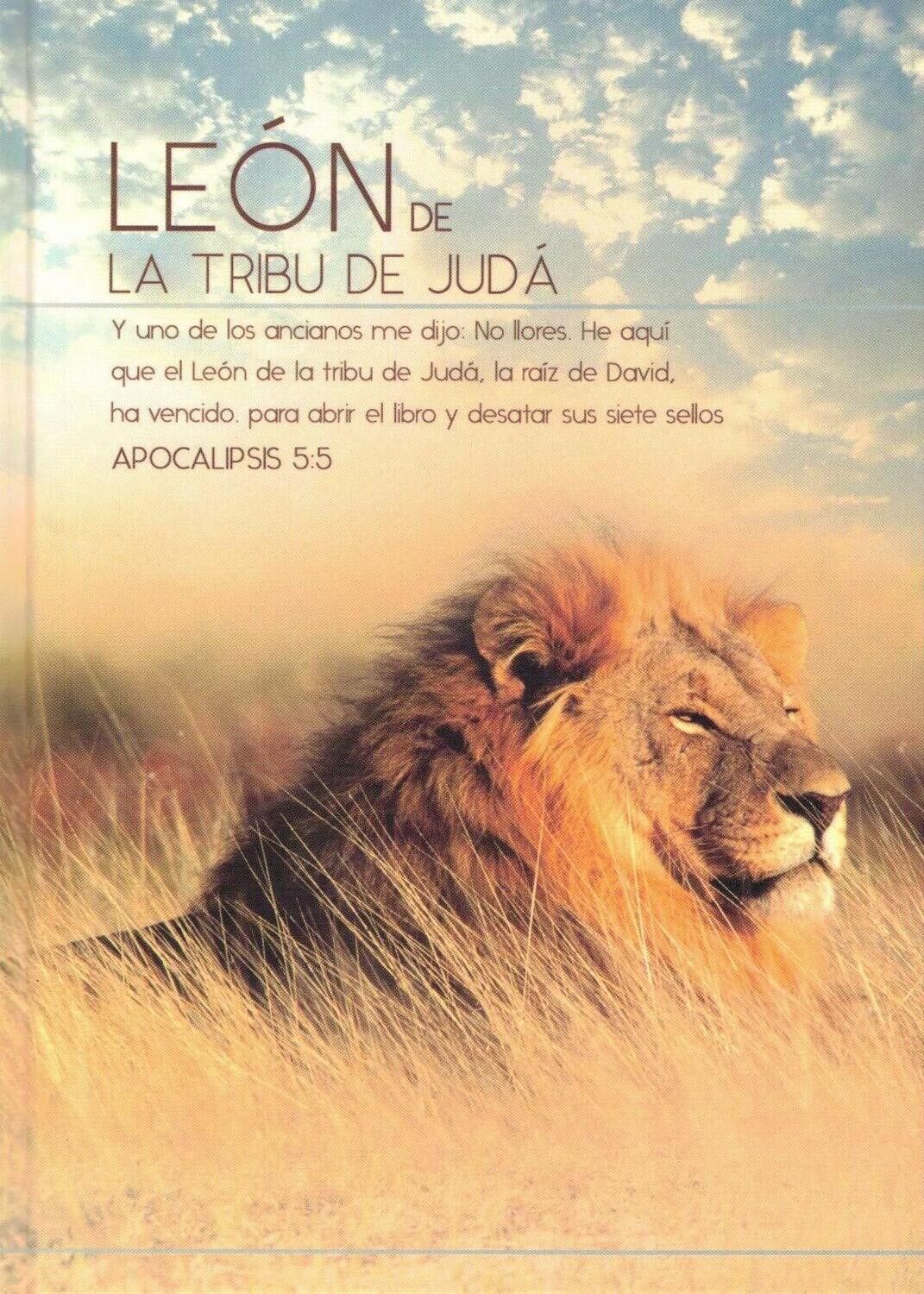 Diario y Cuaderno de Notas (Leon)