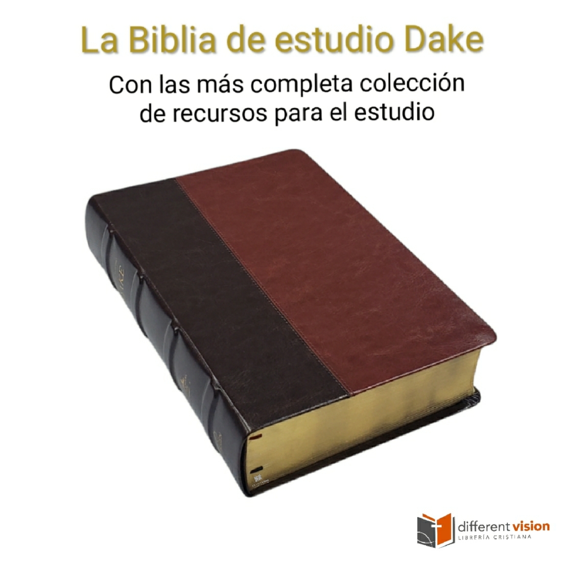 RVR 1960 Biblia de estudio Dake piel dos tonos (Free Shipping)