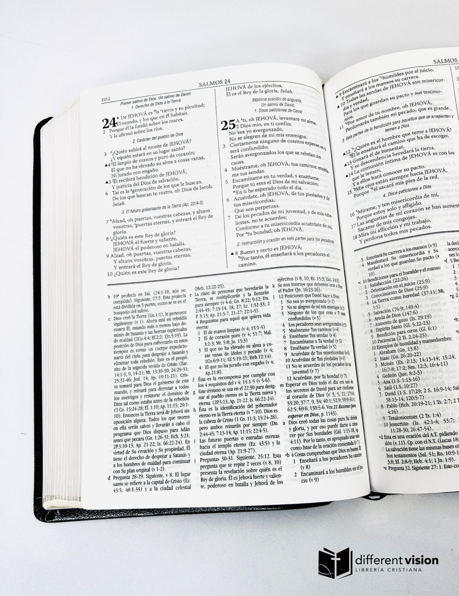 RVR 1960 Biblia de estudio Dake piel Black (Free Shipping)