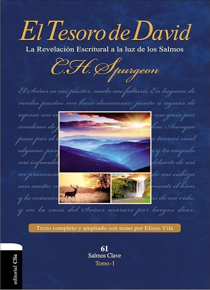El Tesoro de David  1 Tapa dura