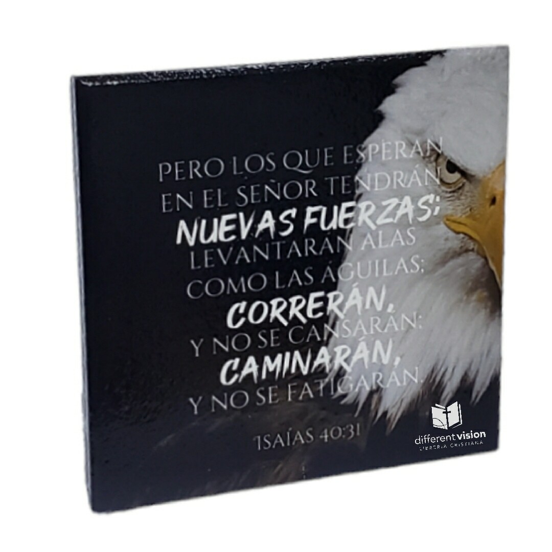 Placa en Cerámica - Nuevas fuerzas