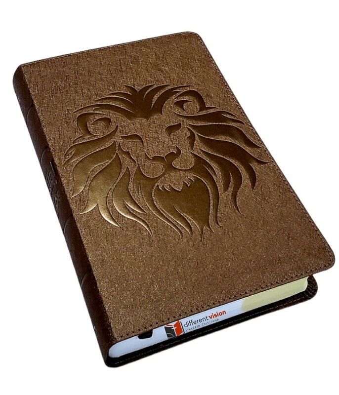 Biblia Visual De Estudio Para Niños (NBLA)