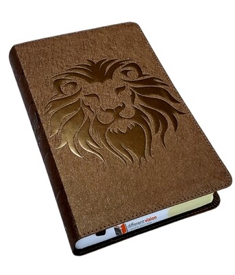 Biblia Visual De Estudio Para Niños (NBLA)