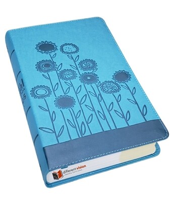 Biblia Visual De Estudio Para Niños (NBLA)