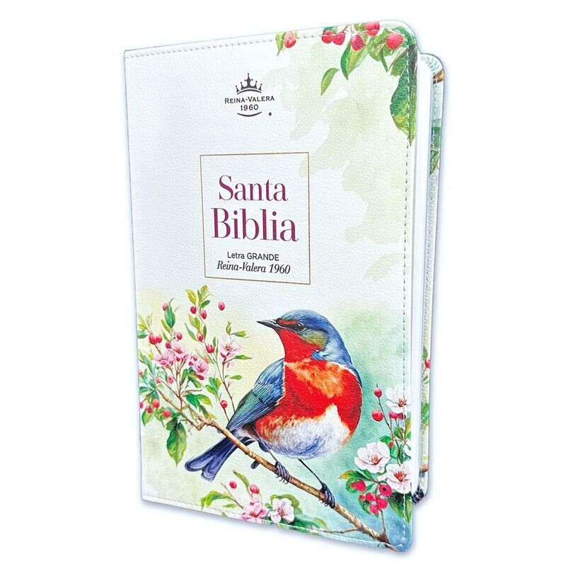 Santa Biblia RVR60 Tamaño Manual, letra Grande (Freeshipping) Santa Biblia RVR60 Tamaño Manual, letra Grande (Freeshipping)