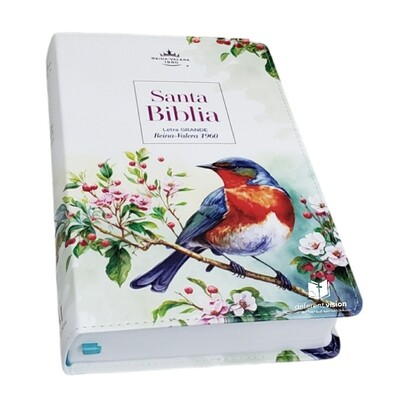 Santa Biblia RVR60 Tamaño Manual, letra Grande (Freeshipping)