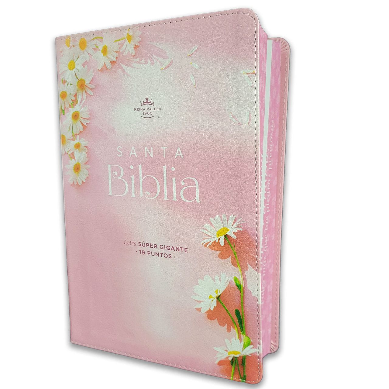 Biblia Letra Súper Gigante 19 puntos RV1960 Imit piel rosa (Free Shipping)