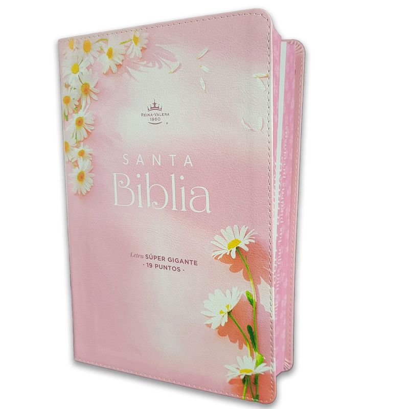 Biblia Letra Súper Gigante 19 puntos RV1960 Imit piel rosa (Free Shipping) Biblia Letra Súper Gigante 19 puntos RV1960 Imit piel rosa (Free Shipping)