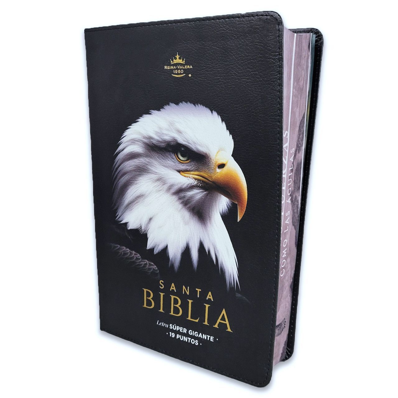 Biblia Letra Súper Gigante 19 puntos RV60 Imit piel negro águila (Free Shipping)
