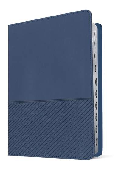 Biblia de estudio del diario vivir para jóvenes NTV (ImitPiel, Azul oscuro, Índice) (Free Shipping)