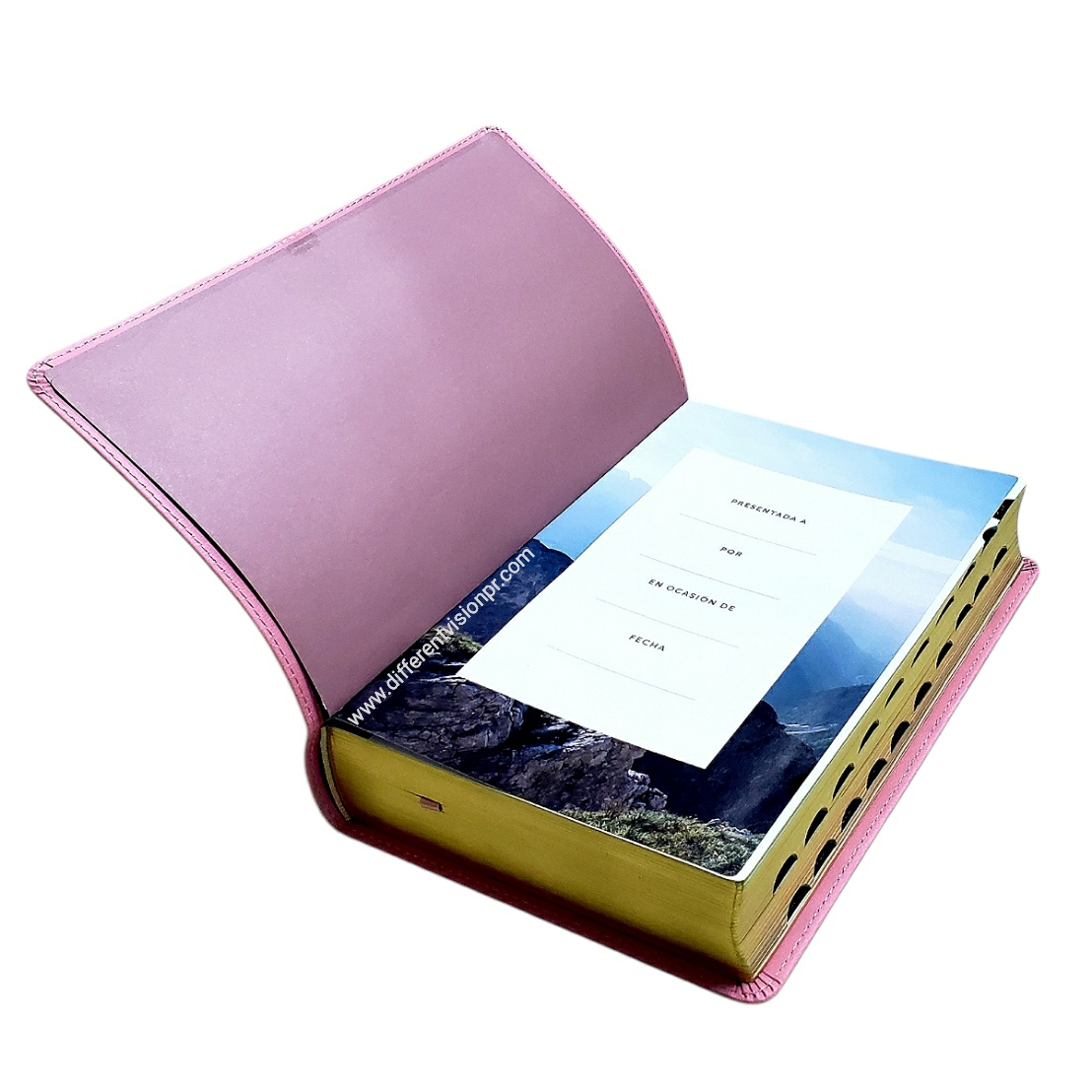 Biblia de estudio del diario vivir para jóvenes NTV (ImitPiel, Rosa pastel, Índice) (Free Shipping)