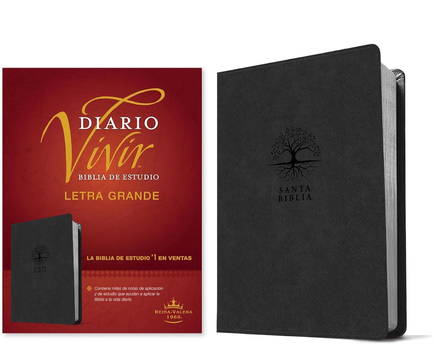 Biblia de Estudio Diario Vivir RV60, letra grande, SentiPiel gris (Free Shipping)