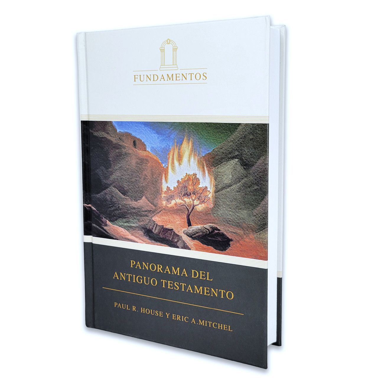 Panorama del Antiguo Testamento (Freeshipping)