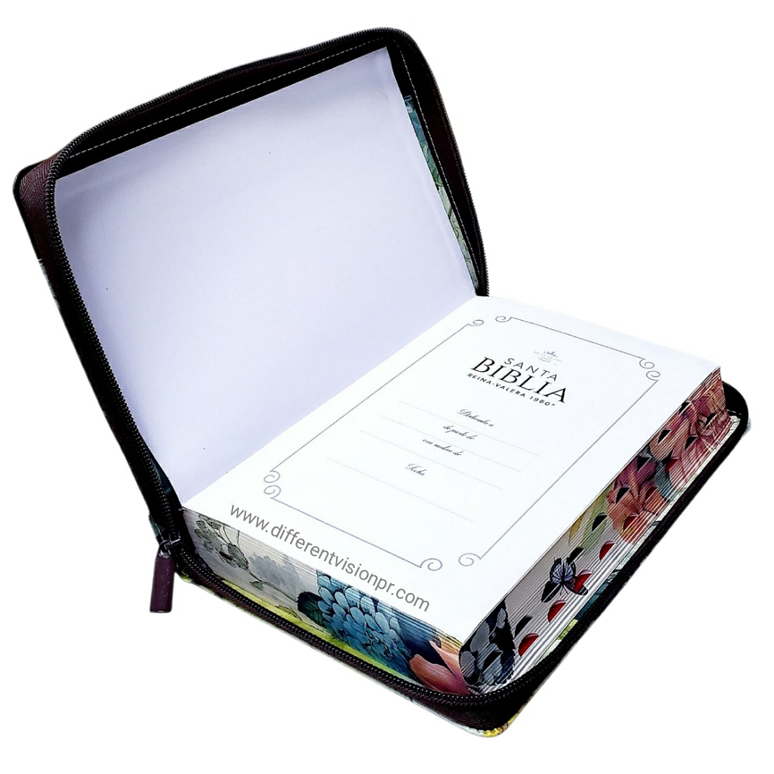 Biblia RVR60, con Cover, letra Grande, Manual y Índice,  (Free shipping)