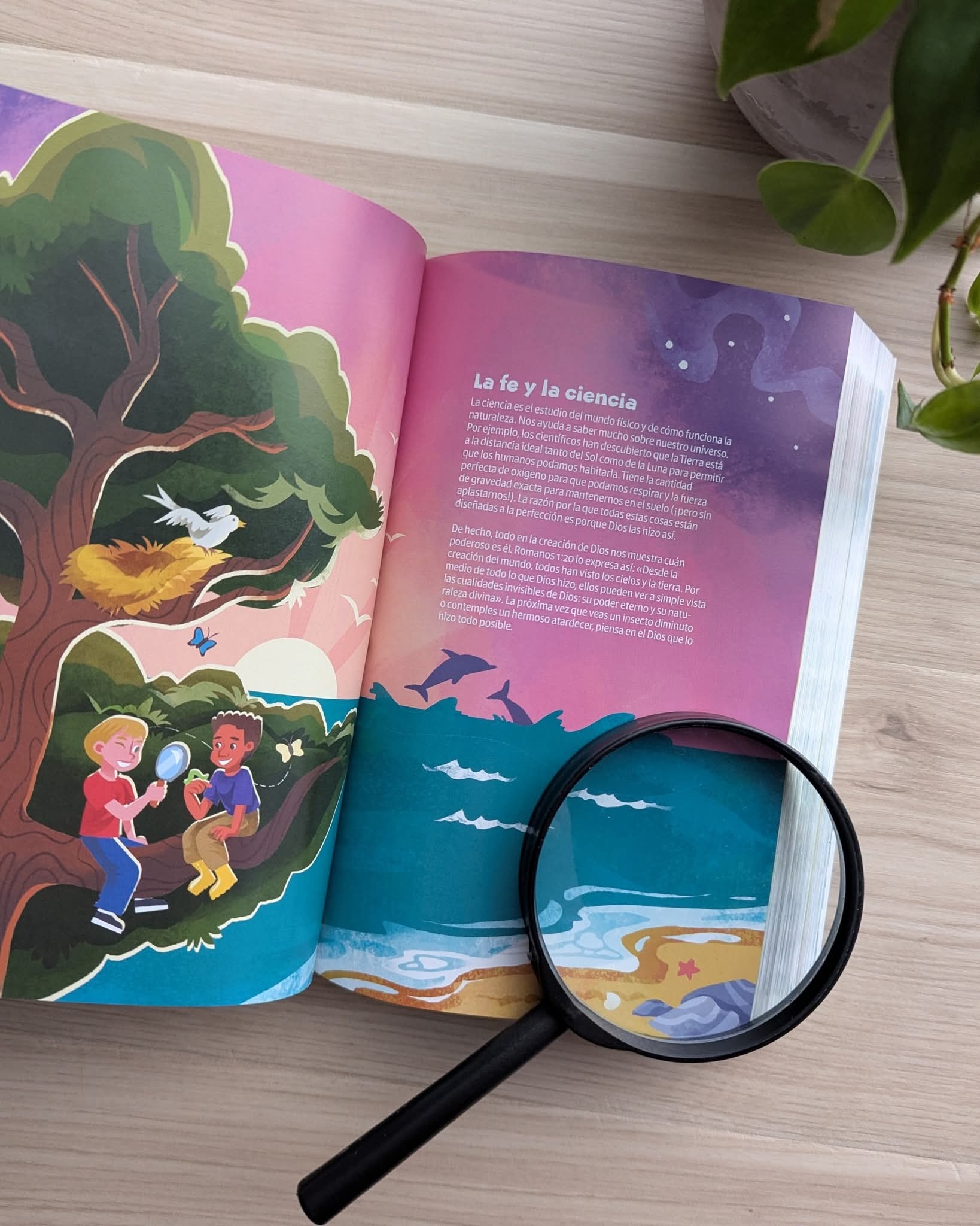 Biblia GO para niños NTV ,Tapa Dura ( Free Shipping)