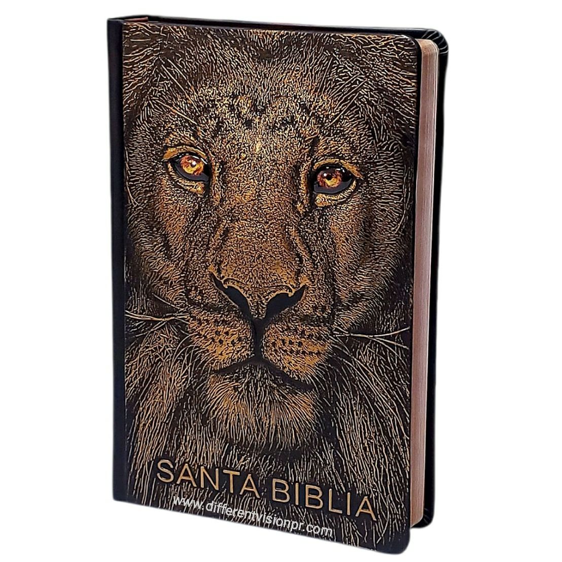 Biblia RVR 1960  León de Judá edición especial bronce (Free Shipping)