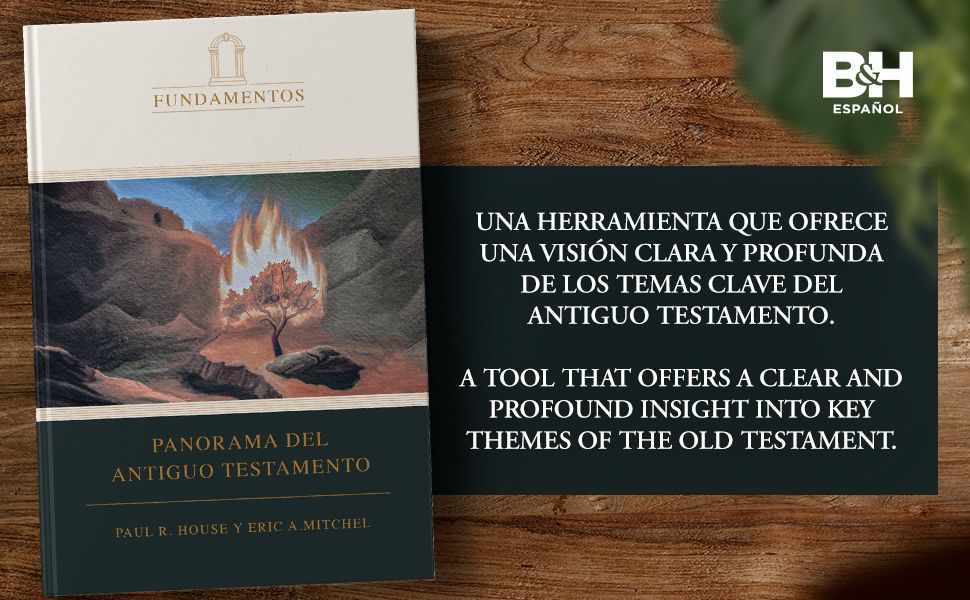 Panorama del Antiguo Testamento (Freeshipping)