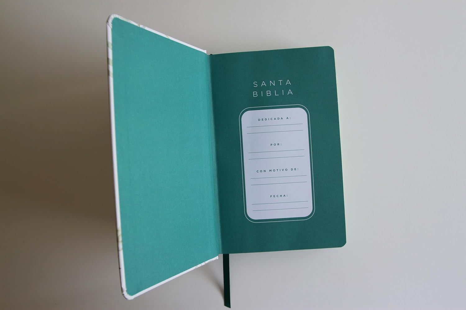 Biblia RVR 1960 letra grande tamaño manual, tapa dura (Free Shiping)