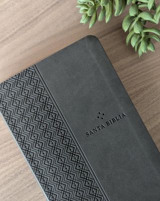Biblia NTV con Filament, SentiPiel, Gris (Free Shipping)