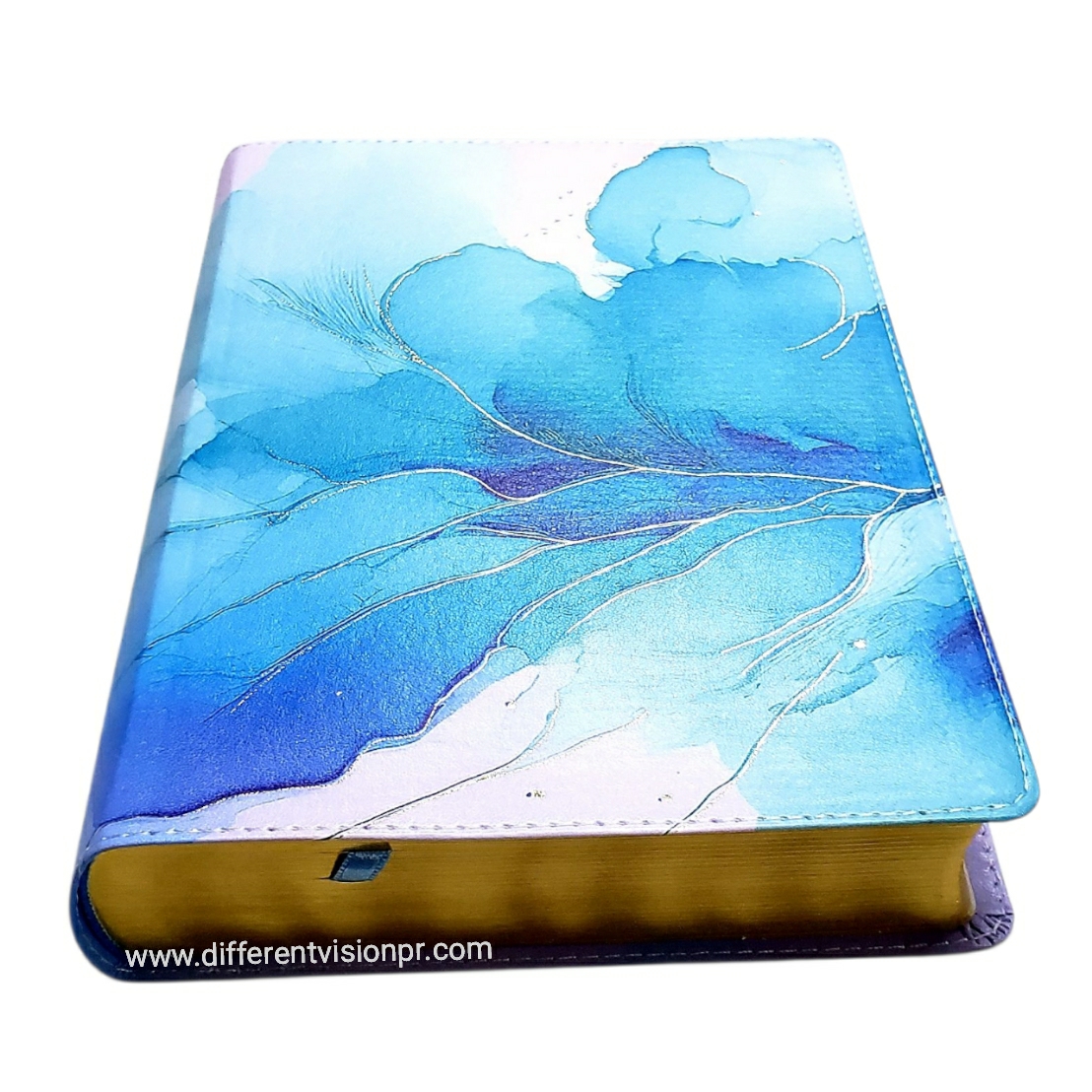 Biblia de una joven conforme al corazón de Dios-RVR60: Edición Brisa (Free Shipping)