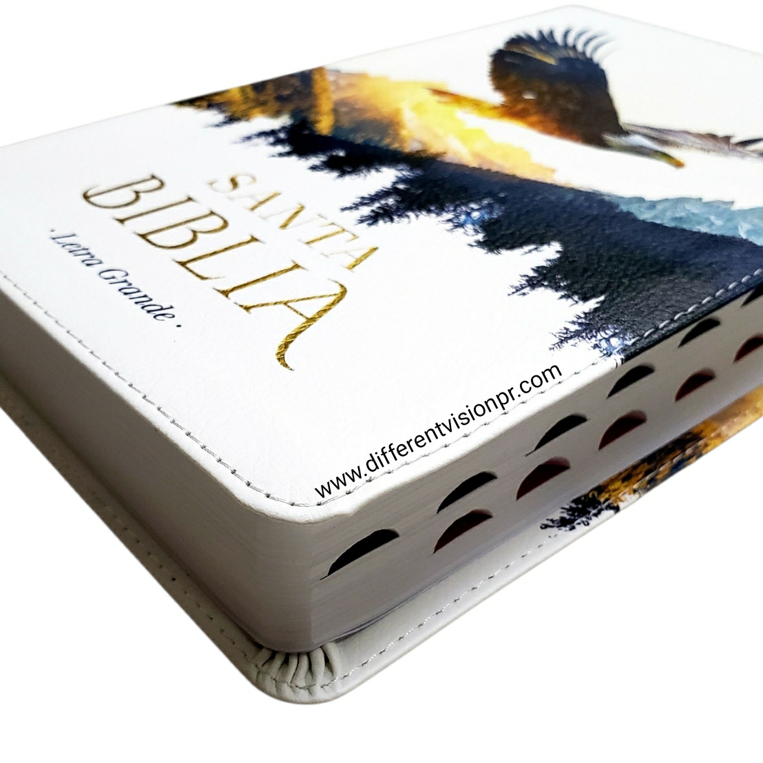 Biblia RV60 Letra Grande imit piel Águila con índice (Free Shipping)