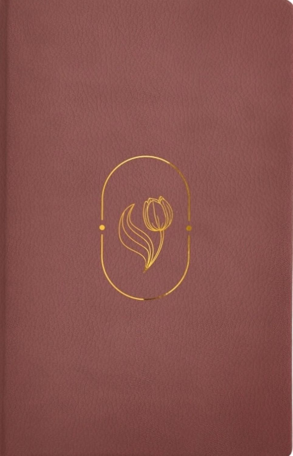 Biblia de Promesas Virtuosa, RVR-1960, Letra gigante, Piel especial, Rosa (Free Shipping)