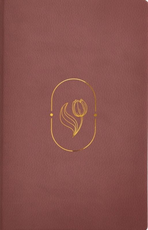 Biblia de Promesas Virtuosa, RVR-1960, Letra gigante, Piel especial, Rosa (Free Shipping) Biblia de Promesas Virtuosa, RVR-1960, Letra gigante, Piel especial, Rosa (Free Shipping)