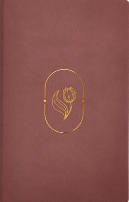 Biblia de Promesas Virtuosa, RVR-1960, Letra gigante, Piel especial, Rosa (Free Shipping)