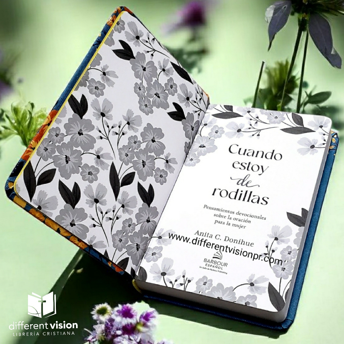 Cuando Estoy de Rodillas: Pensamientos Devocionales Sobre La Oración Para La Mujer