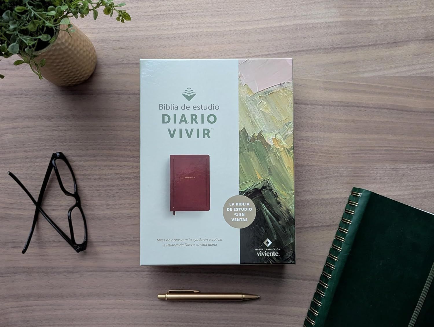 Biblia de estudio del diario vivir NTV SentiPiel, Café (Free Shipping)