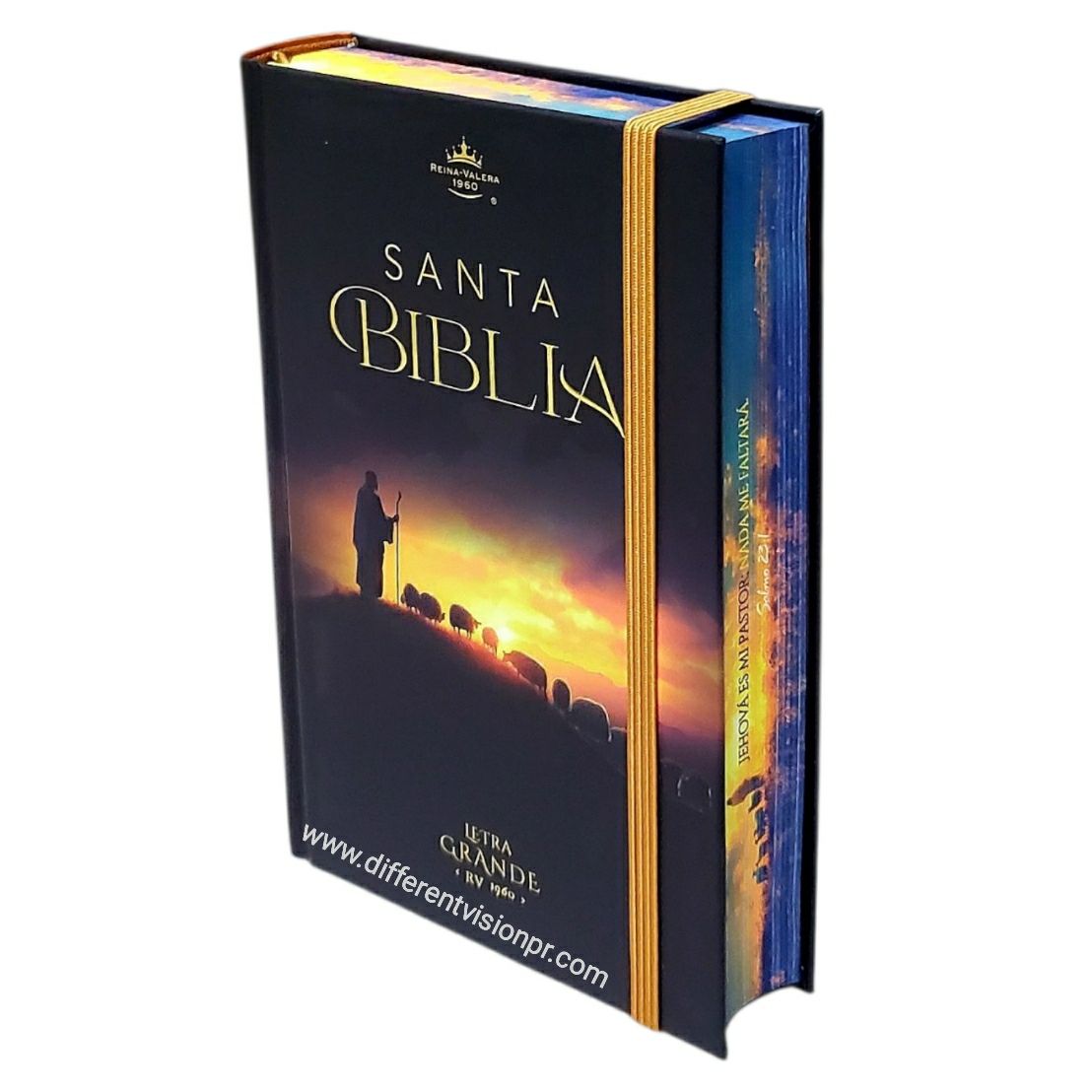 Biblia RVR60 Tamaño manual Letra Grande Tapa dura con elástico: Pastor y sus ovejas (Free Shipping)